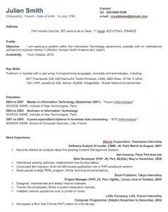One Column Professional Resume Template One Column Professional Resume Template