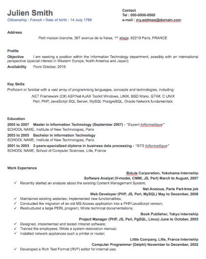 One Column Professional Resume Template One Column Professional Resume Template