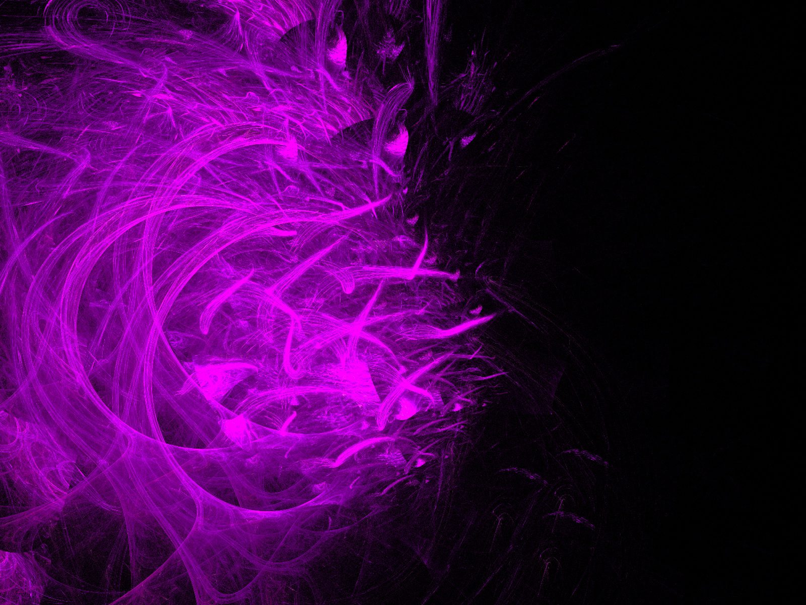 Purple Presentation Template